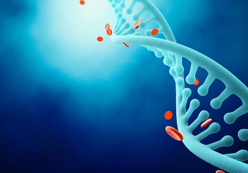 Nutrigenetica e test del DNA 